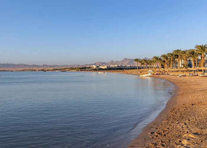 Palm Royale - 5*
